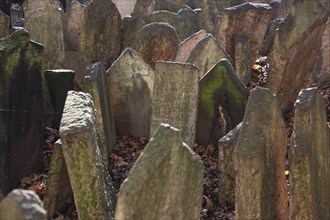 The Old Jewish Cemetery in the Josefov district is one of the most historically significant Jewish