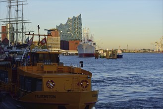 Germany, Hamburg, HafenCity, view to Elbe Philharmonic Hall, Hamburg's new concert hall, glass