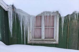 Typical Greenlandic house in deep snow, icicles on windows, winter, Tasiilaq, East Greenland,