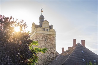 Tower with stone wall in the sunlight, flanked by a tree and a weather vane as crowning decoration,