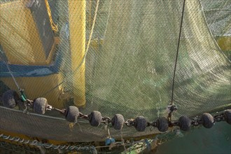 Fishing nets on a shrimp cutter, Greetsiel, Krummhörn, East Frisia, Lower Saxony, Germany, Europe