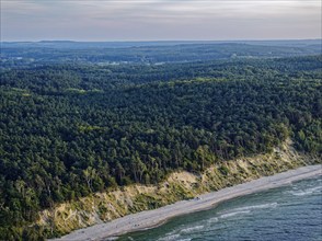 Sandy beach beach and forest, mainly beech forests, on the coast in the Wolin National Park, also