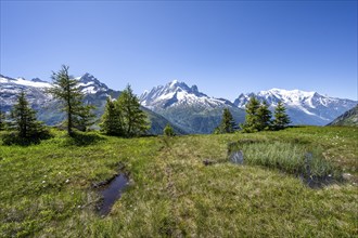 Mountain panorama with glaciated mountain peaks, Aiguille Verte with Aiguille du Midi and Mont