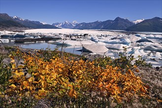 Icebergs from Knik Glacier in the middle of the Chugach Mountains, Alaska