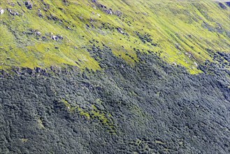 Landscape of the Swiss Alps above the tree line. Mountain slope on the Furka Pass near Obergoms,