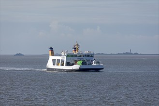 Pellworm ferry arrives, Strucklahnungshörn, Nordstrand, North Frisia, Schleswig-Holstein, Germany,