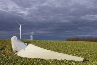 Storm damage, broken wind turbine, Colmitz, Saxony, Germany, Europe