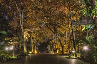 Decorative night lighting in the Botanic Garden of Singapore