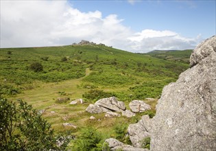 Granite upland landscape Hound Tor, Dartmoor national park, Devon, England, UK