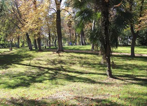 Path though trees in autumn leaf colour, El Retiro park, Madrid, Spain, Europe