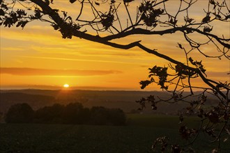 Am Lerchenberg near Börnchen, a place made famous by the painter Kurt Querner, Börnchen, Saxony,