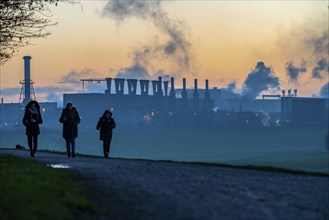 Rhine at Duisburg-Bruckhausen, steelworks Thyssenkrupp Steel, walkers on the Rhine dyke, winter,