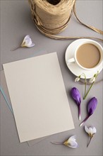 Gray paper sheet mockup with spring snowdrop crocus and galanthus flowers and cup of coffee on gray