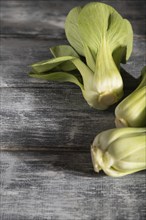 Fresh green bok choy or pac choi chinese cabbage on a gray wooden background. Hard light, contrast.