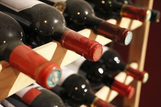 Wine cellar with red wine bottles