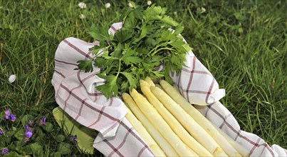 White asparagus decorated in a wooden crate