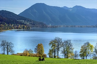 Tegernsee with Wallberg, couple sitting on a green meadow and looking at the lake, trees