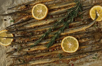 Fried fish, sargan, black sea pike, top view, close-up, no people