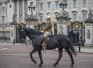 Military rider, horse, Trooping the colour, military parade in June in honour of the British