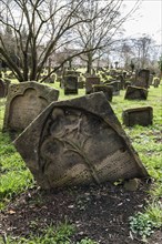 Jewish cemetery Heiliger Sand, Worms, Rhineland-Palatinate, Germany, Europe