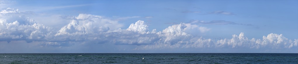 Cumulus cloud (Cumulus) over the Baltic Sea, Kühlungsborn, Mecklenburg-Western Pomerania, Germany,