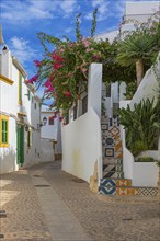 Narrow cobbled alley in the old town of Eivissa, Ibiza Town, Ibiza, Balearic Islands, Mediterranean