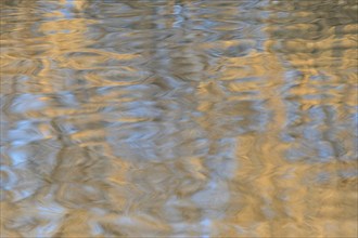 Reflection of autumn leaves on the undulating water surface, North Rhine-Westphalia, Germany,