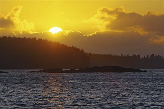 Romantic sunset over an island, Tofino, Vancouver Island, Canada, North America