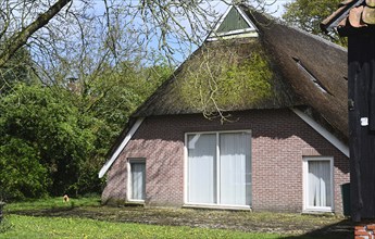 NL, Eesergroen: Spring characterises the landscape, towns and people in the province of Drenthe in