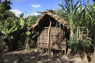 South Ethiopia, a wooden hut of the Ari people near Jinka, Ethiopia, Africa