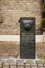 Pig market in Warendorf, Warendorf district, North Rhine-Westphalia, Germany, Europe