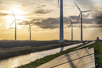 Solar park on the Slaperdijk dyke near the Eemshaven, test project, 17, 000 solar modules were