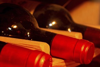 Wine cellar with red wine bottles