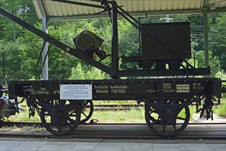 Europe, Germany, Aumühle, Holstein, Duchy of Lauenburg district, Hamburg metropolitan region,