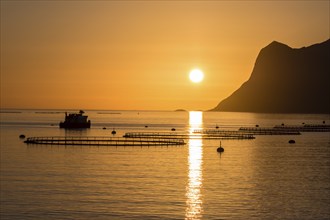 Salmon farm in fjord Mefjord, sunset over sea and mountain range, summer evening, salmon, Senja,