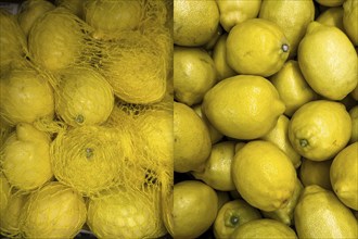 Collage photo collage photomontage of two photos juxtaposition of lemons (Citrus limon) left packed