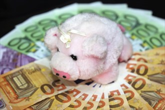 Euro banknotes with a pig as a symbol of good luck