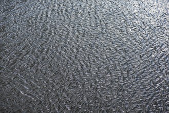 Structures of a water surface from the Main, Kitzingen, Lower Franconia, Bavaria, Germany, Europe