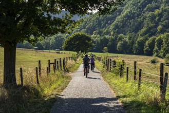 Landscape in the Rureifel, Rural, Cyclist, near Nideggen, District of Düren, North