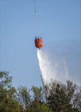 Forest fire in the German-Dutch border region near Niederkrüchten-Elmpt, in a nature reserve, use