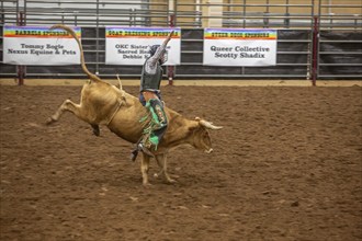 Oklahoma City, Oklahoma, The Great Plains Rodeo, an annual gay rodeo that features traditional