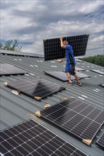 Installation of solar modules on the roof of a barn on a farm, over 240 photovoltaic modules are