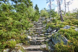 Stages on the hiking trail to Mount Lusen in late summer, Bavarian Forest, Bavaria, Germany, Europe