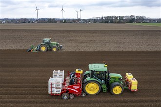 Early potatoes are laid in the soil of the field with a planting machine, tractor with roundabout