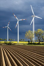 Wind turbines on a rape field, dark rain clouds, in the Rhenish lignite mining area, near