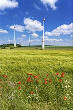 Wind farm near Brilon-Radlinghausen, Sauerland, North Rhine-Westphalia, Germany, Europe