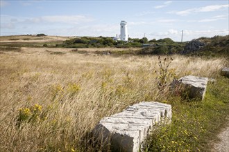 Old white lighthouse now a bird observatory at Portland Bill, Isle of Portland, Dorset, England,