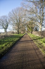 Landscape of long straight road passing trees in winter, Sutton, Suffolk, England, United Kingdom,