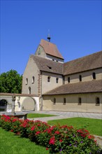 Monastery garden at the Minster of St Mary and St Mark, Reichenau Monastery, Mittelzell, Reichenau