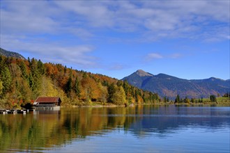 Autumn at Lake Walchensee, behind Jochberg, Upper Bavaria, Bavaria, Germany, Europe